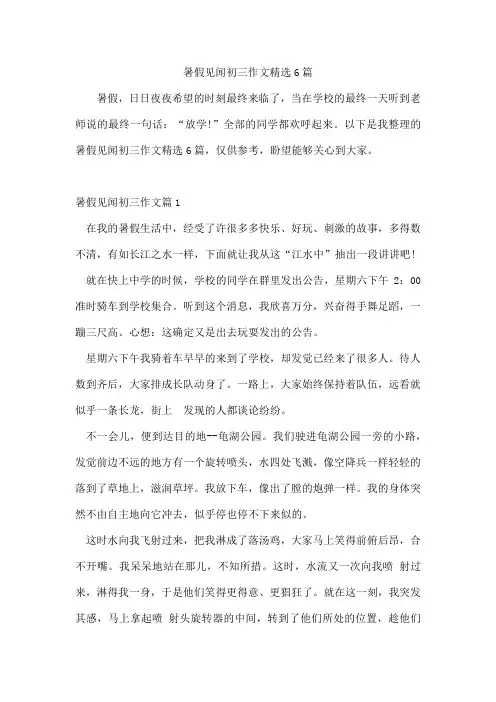 暑假见闻初三作文精选6篇