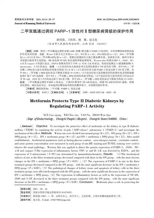 二甲双胍通过调控PARP-1活性对Ⅱ型糖尿病肾脏的保护作用