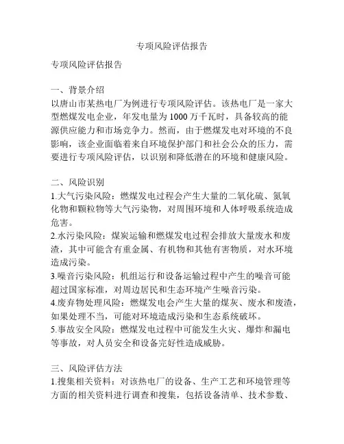 专项风险评估报告