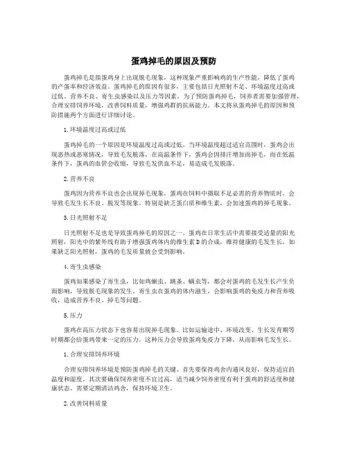 蛋鸡掉毛的原因及预防