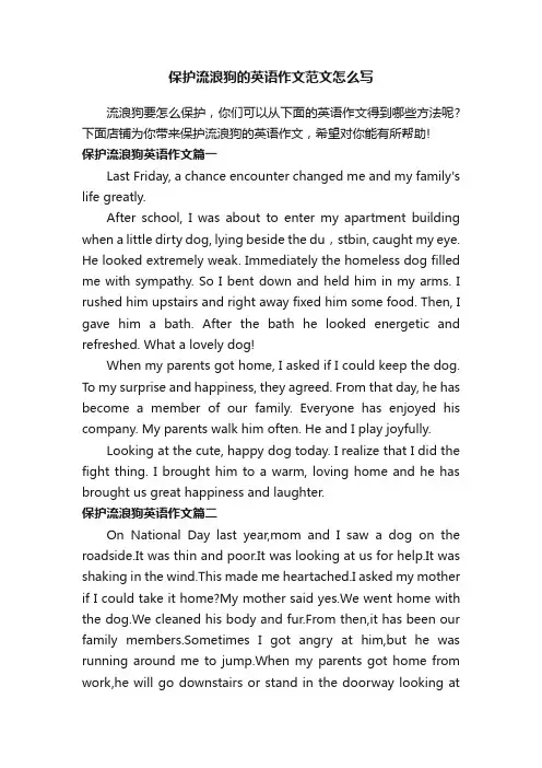 保护流浪狗的英语作文范文怎么写