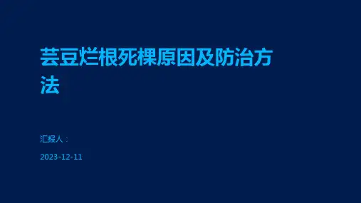 芸豆烂根死棵原因及防治方法