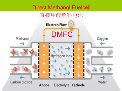 DMFC直接甲醇燃料电池