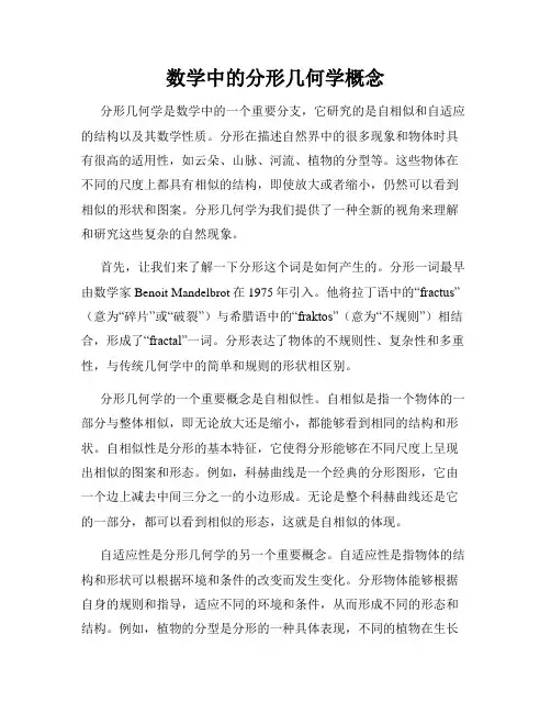 数学中的分形几何学概念