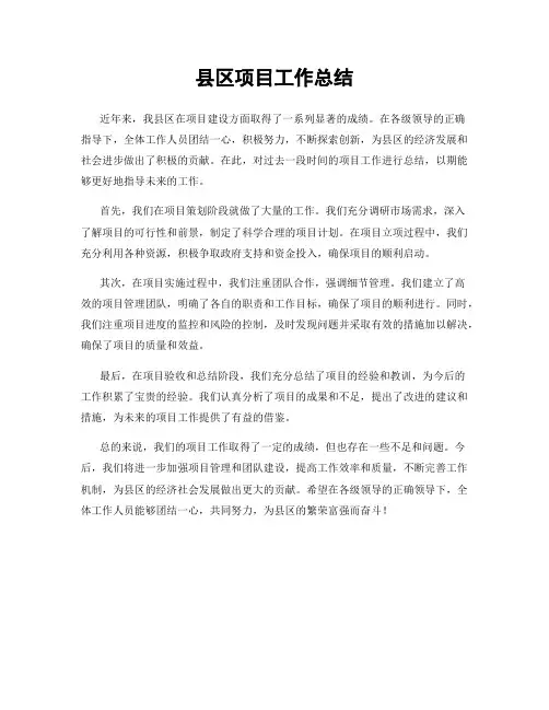 县区项目工作总结
