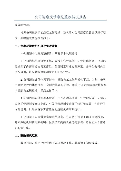 公司巡察反馈意见整改情况报告