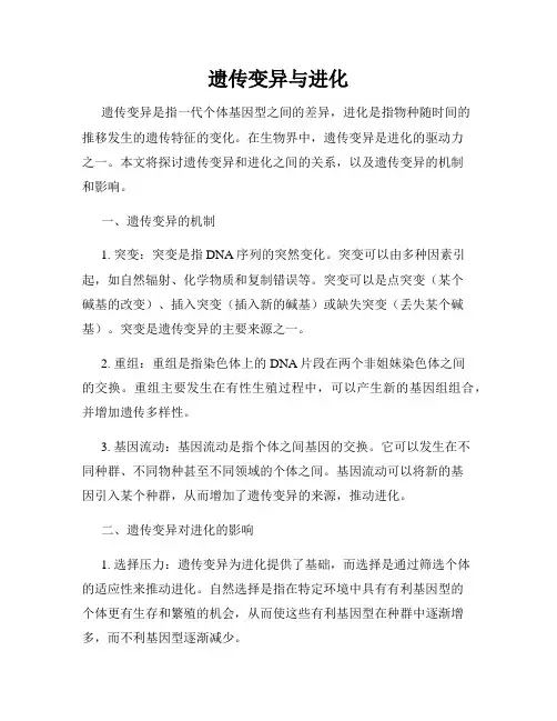 遗传变异与进化