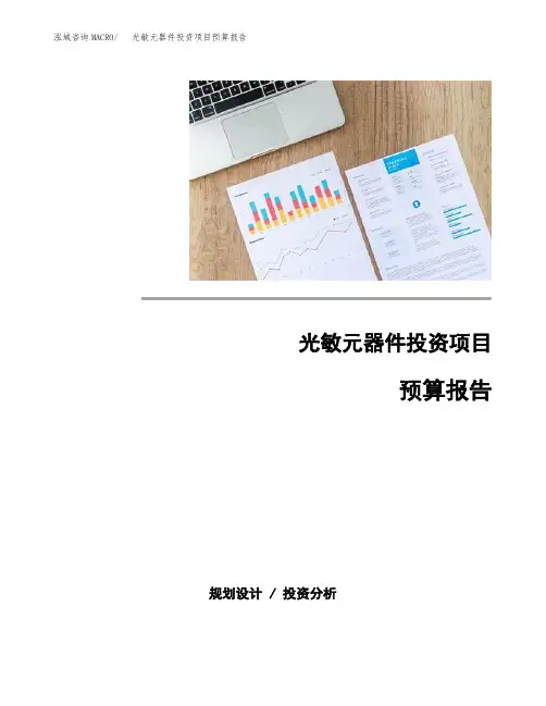 光敏元器件投资项目预算报告