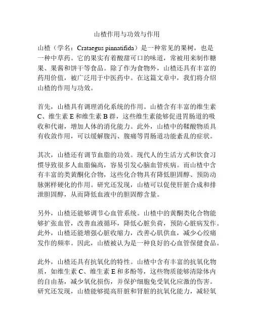 山楂作用与功效与作用