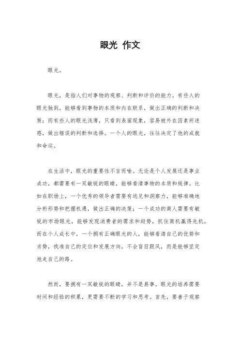 眼光  作文