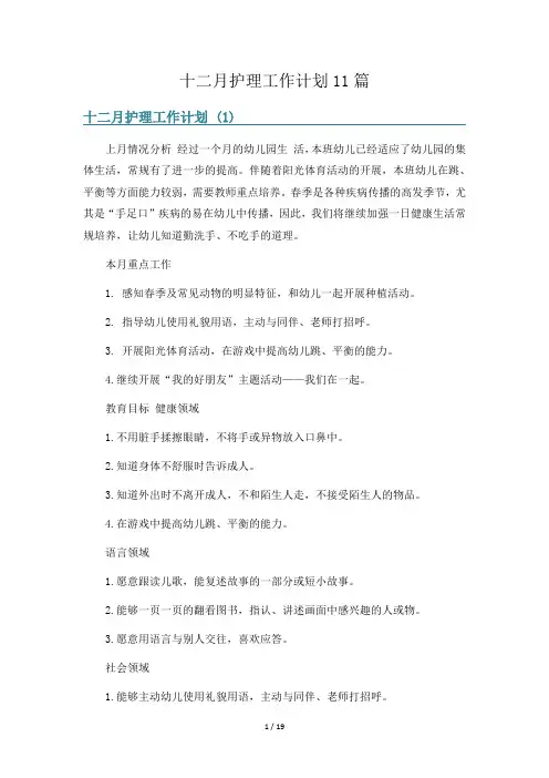 十二月护理工作计划11篇