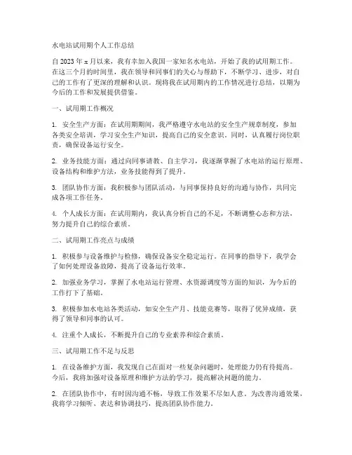 水电站试用期个人工作总结