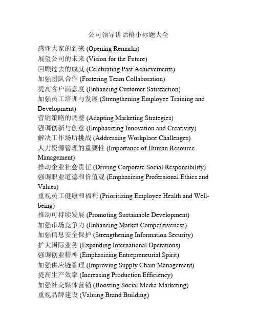 公司领导讲话稿小标题大全