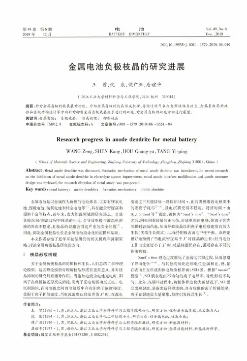 金属电池负极枝晶的研究进展