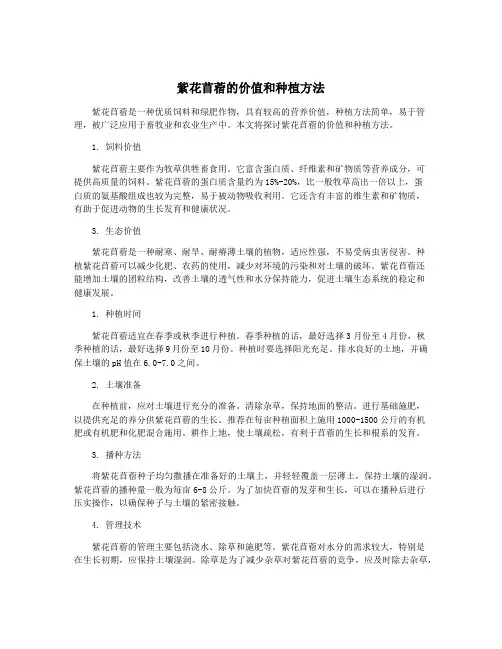 紫花苜蓿的价值和种植方法