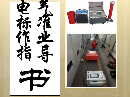 电气标准作业指导书