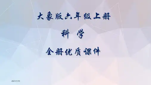 大象版科学六年级上册全册课件