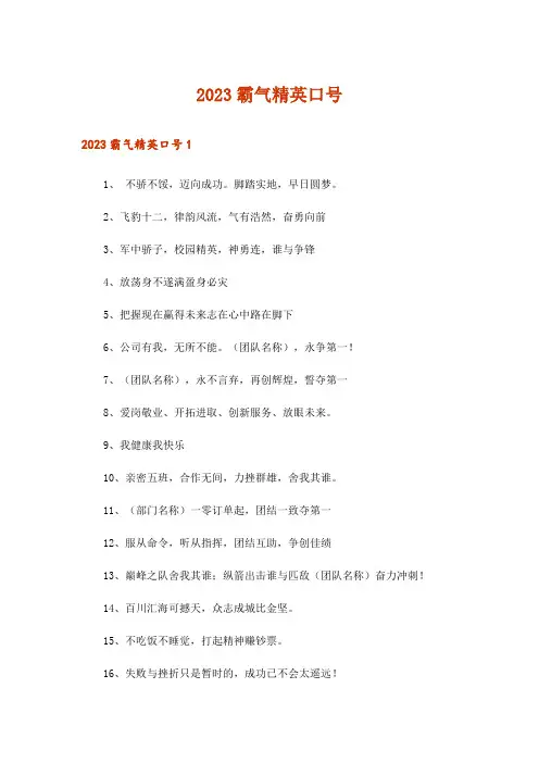 2023霸气精英口号