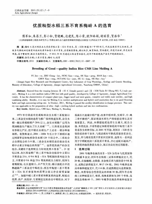优质籼型水稻三系不育系梅岭A的选育