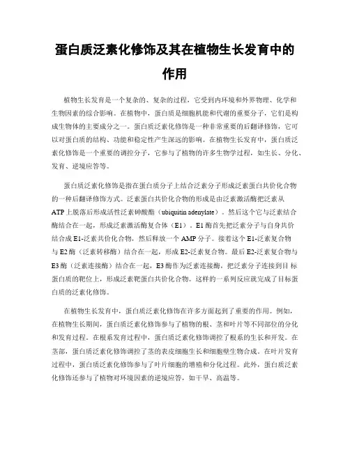 蛋白质泛素化修饰及其在植物生长发育中的作用