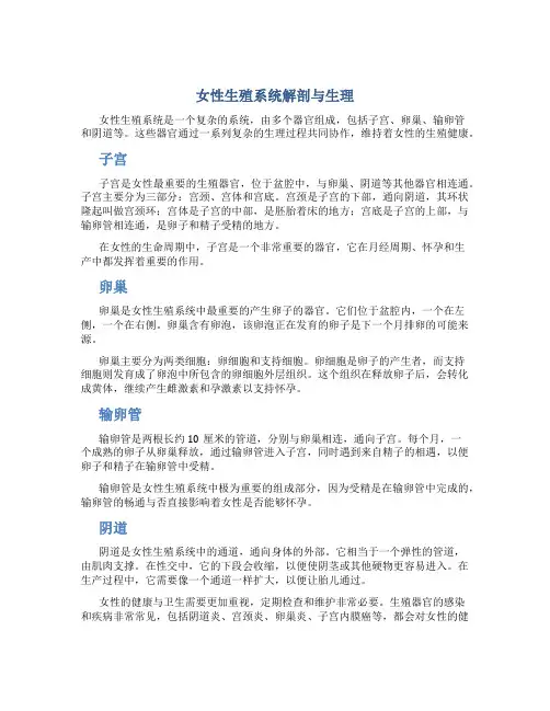 女性生殖系统解剖与生理 