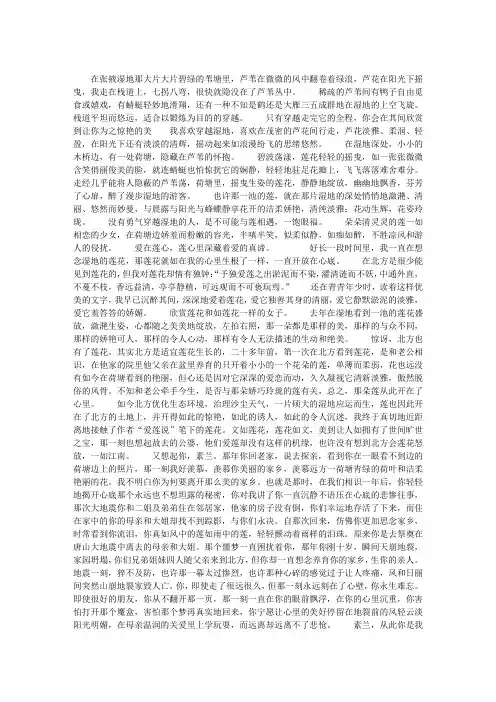 湿地莲花别样红