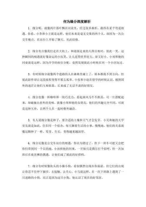 何为缘分深度解析