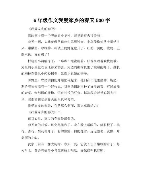 6年级作文我爱家乡的春天500字