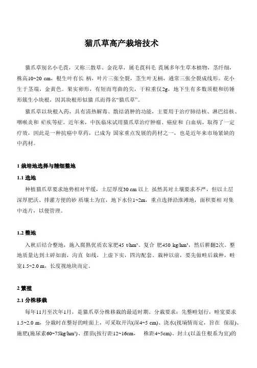 猫爪草高产栽培技术