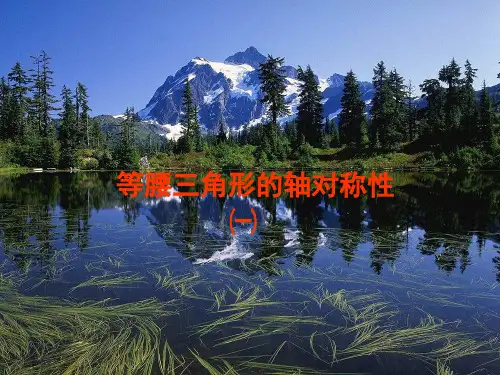 苏科版初中八年级数学上册1.5 等腰三角形的轴对称性 PPT课件