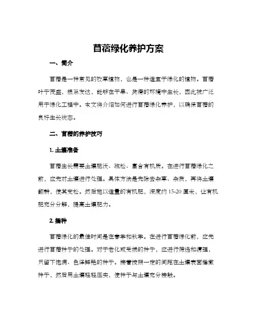 苜蓿绿化养护方案