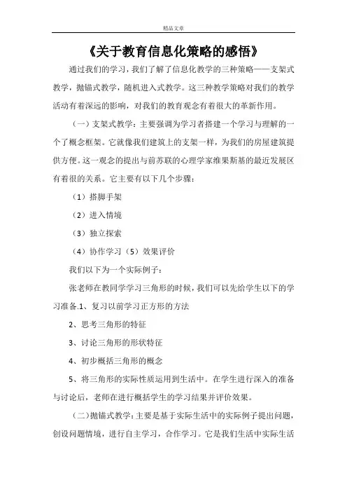 《关于教育信息化策略的感悟》