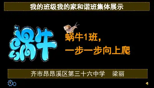 我的班级我的家和谐班集体展示