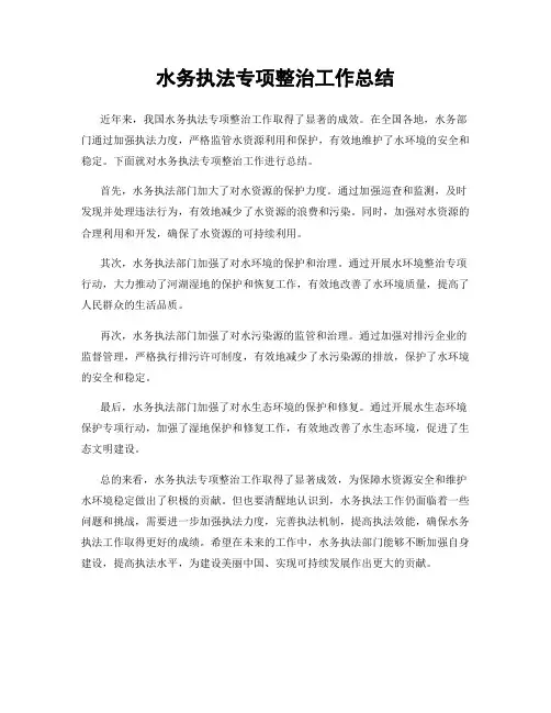 水务执法专项整治工作总结