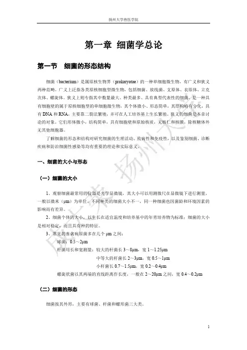 细菌学总论