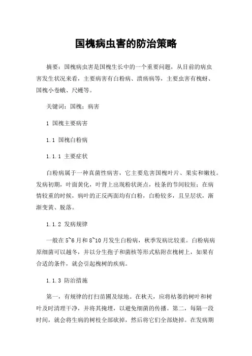 国槐病虫害的防治策略