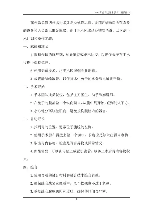 2024年兔胃切开术手术计划及操作
