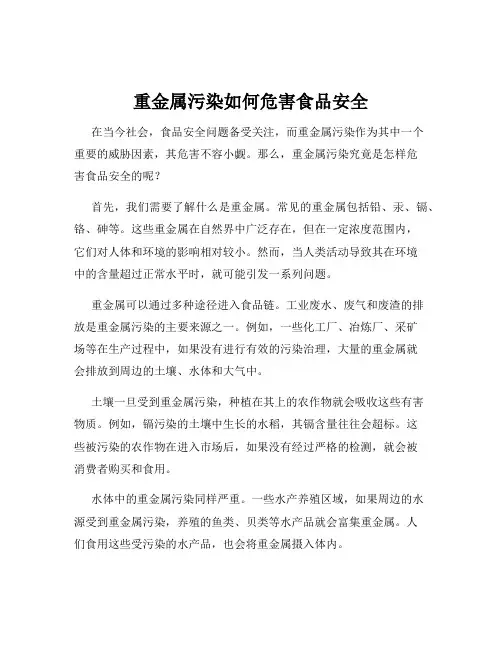 重金属污染如何危害食品安全