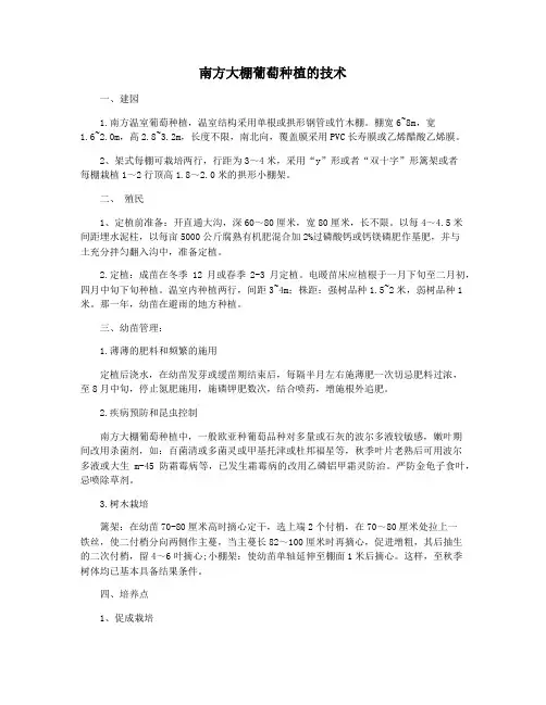 南方大棚葡萄种植的技术