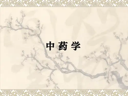 中药总论