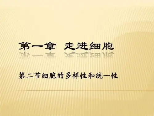 显微镜的结构及使用