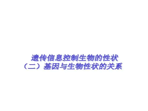 基因与生物性状的关系-高一下学期生物人教版(2019)必修2