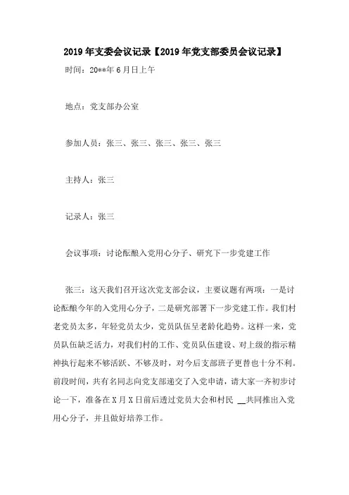 2019年支委会议记录【2019年党支部委员会议记录】