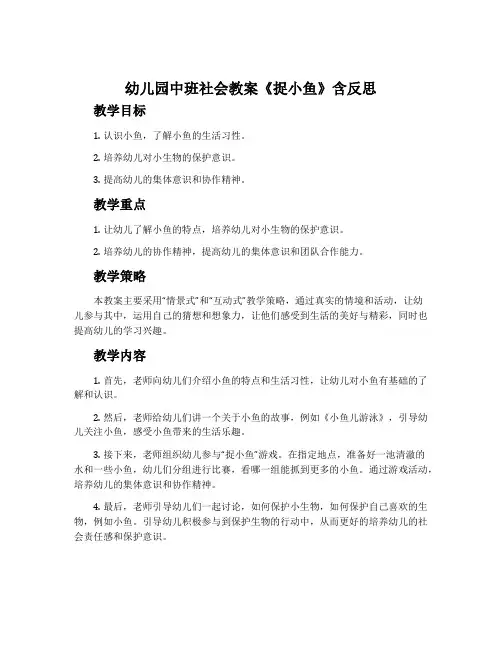 幼儿园中班社会教案《捉小鱼》含反思