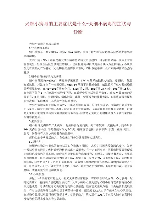 犬细小病毒的主要症状是什么-犬细小病毒的症状与诊断