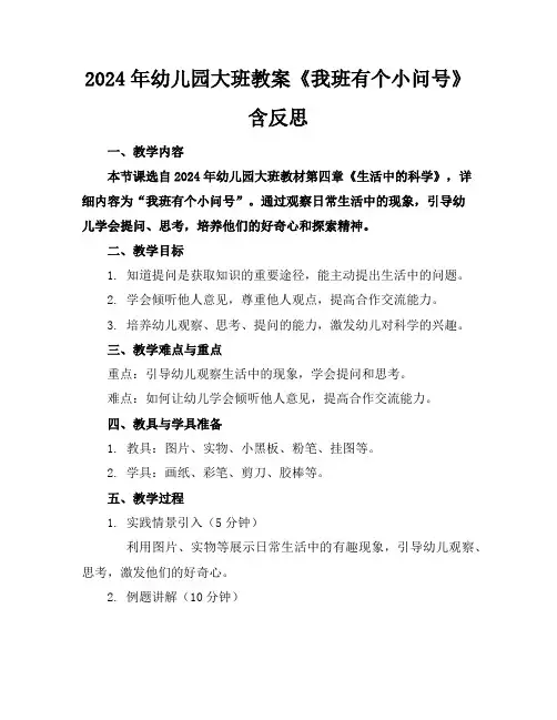 2024年幼儿园大班教案《我班有个小问号》含反思