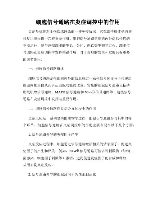 细胞信号通路在炎症调控中的作用