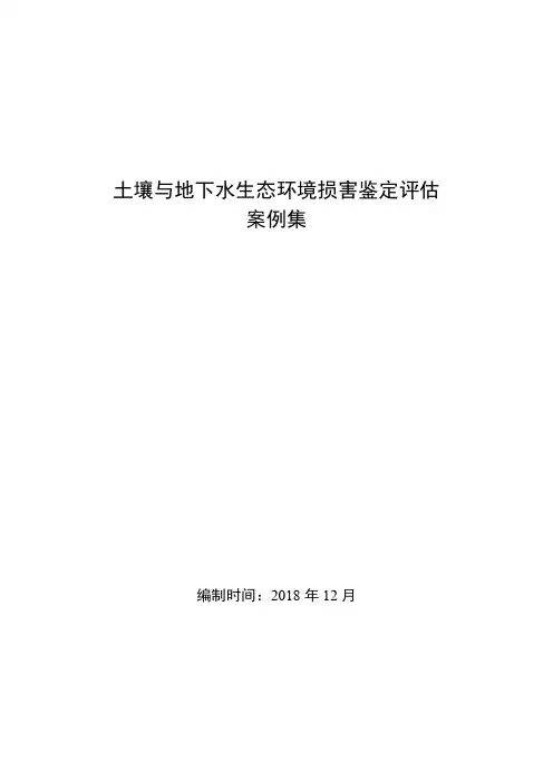 土壤与地下水生态环境损害鉴定评估