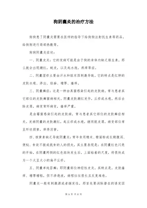狗阴囊炎的治疗方法