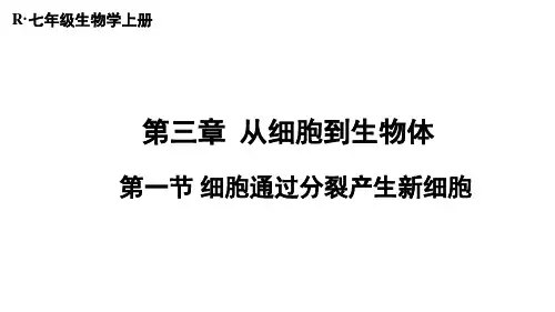 第三章 从细胞到生物体第一节 细胞通过分裂产生新细胞(课件)人教版生物(2024)七年级上册